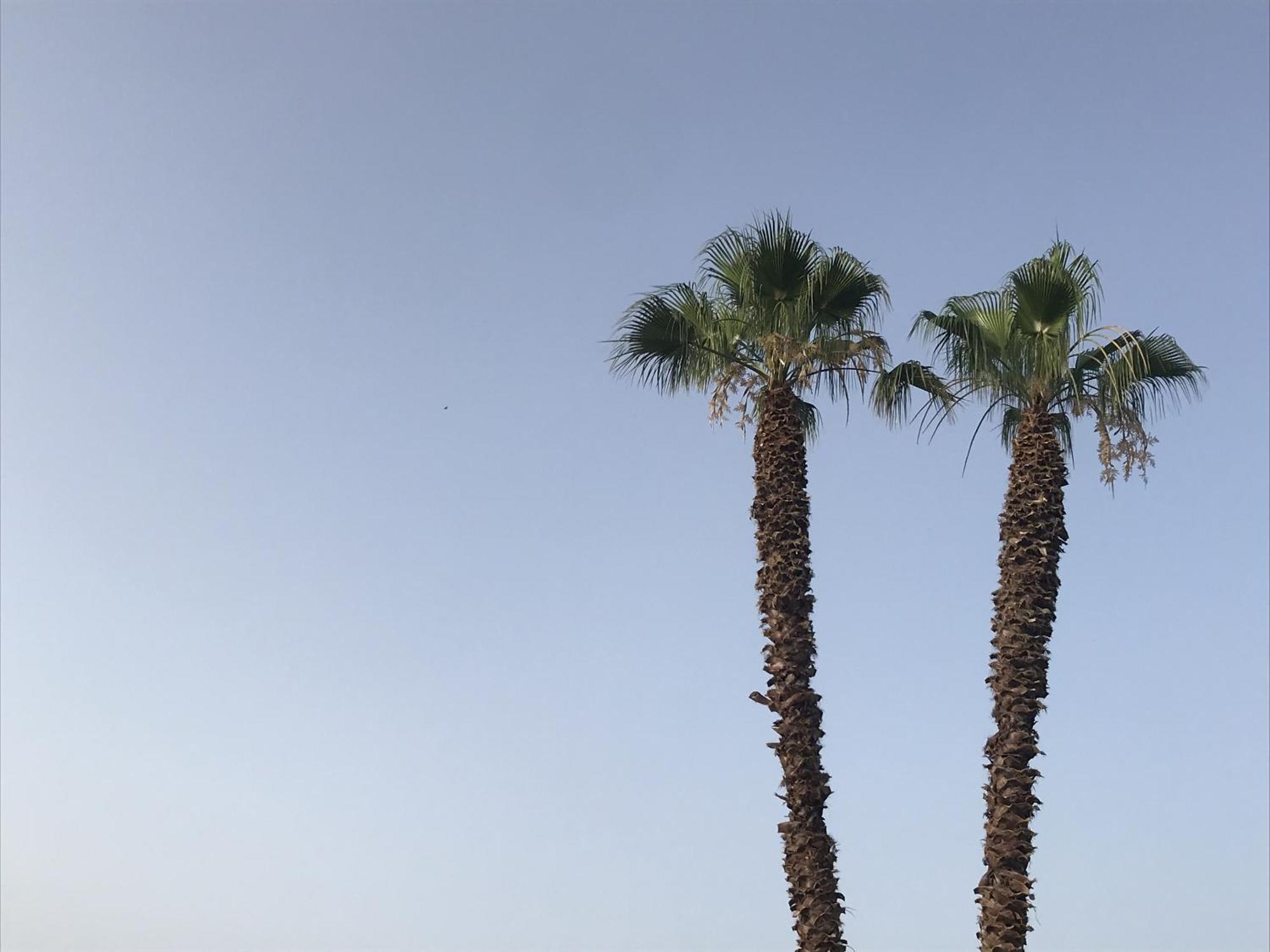 Casapiuholidaysicilia-Adults Only Ното Екстер'єр фото