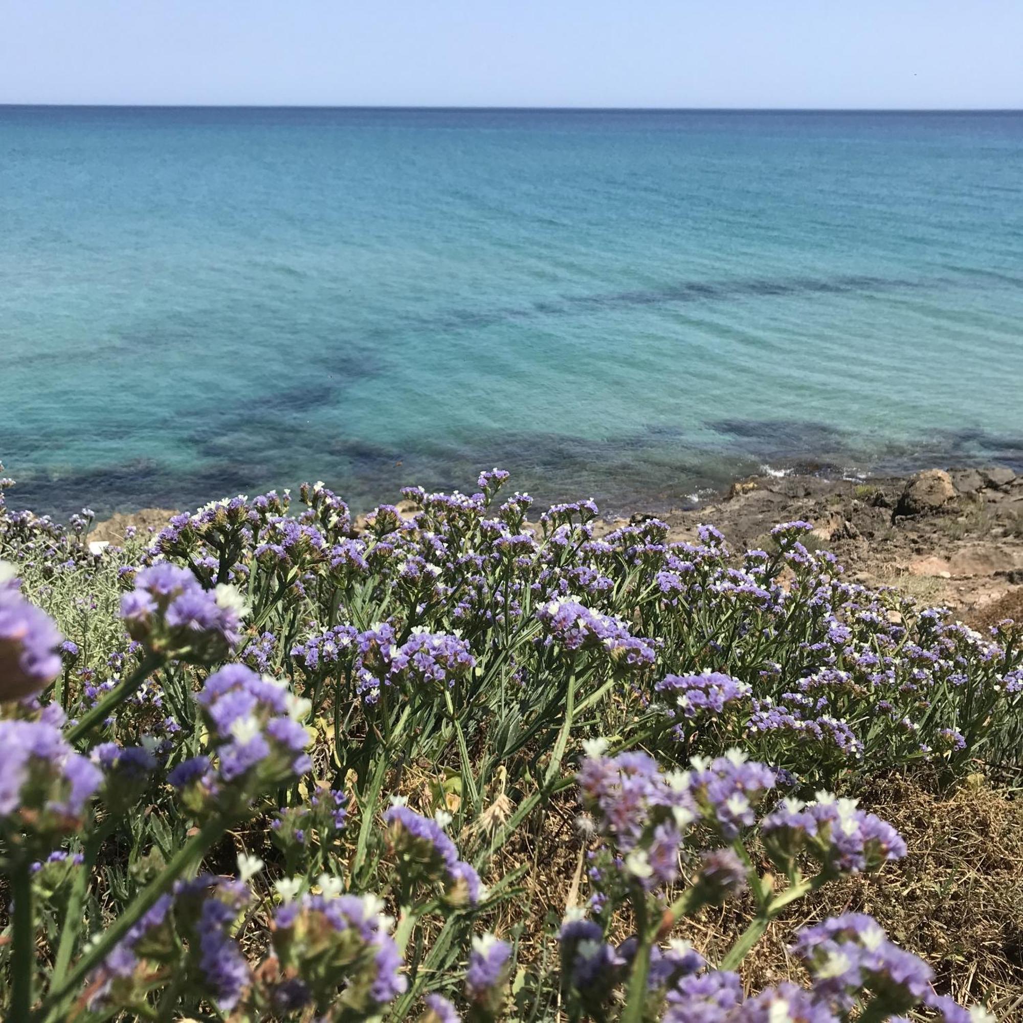 Casapiuholidaysicilia-Adults Only Ното Екстер'єр фото