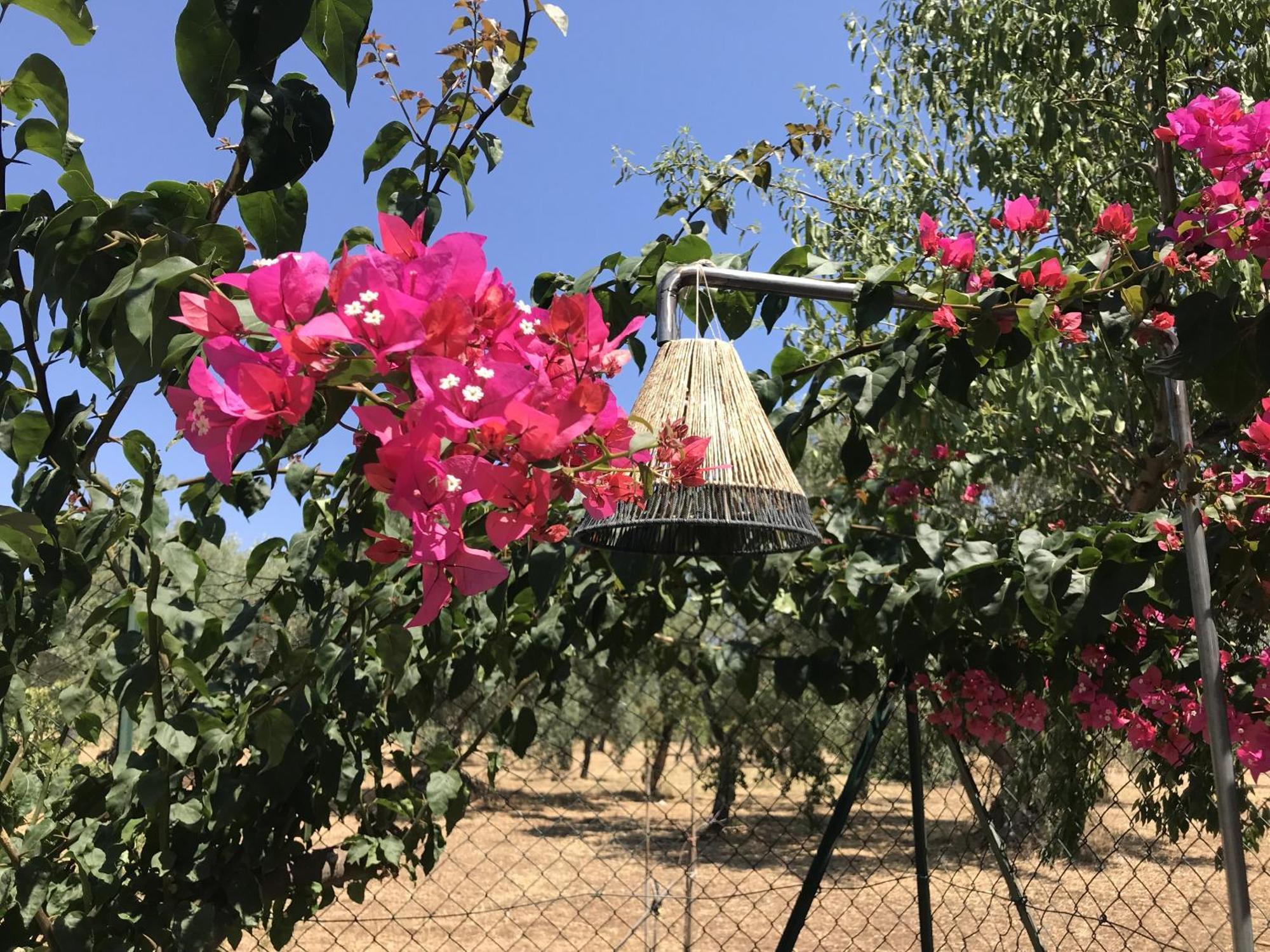 Casapiuholidaysicilia-Adults Only Ното Номер фото