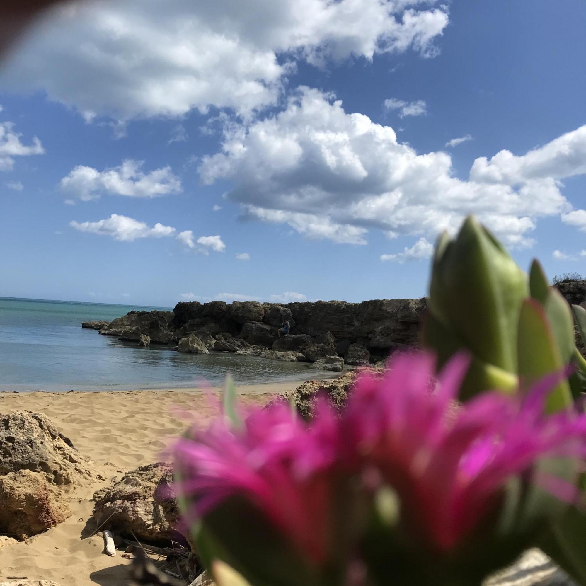 Casapiuholidaysicilia-Adults Only Ното Екстер'єр фото